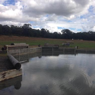 10409303_1642876202611376_3097032180546213187_n