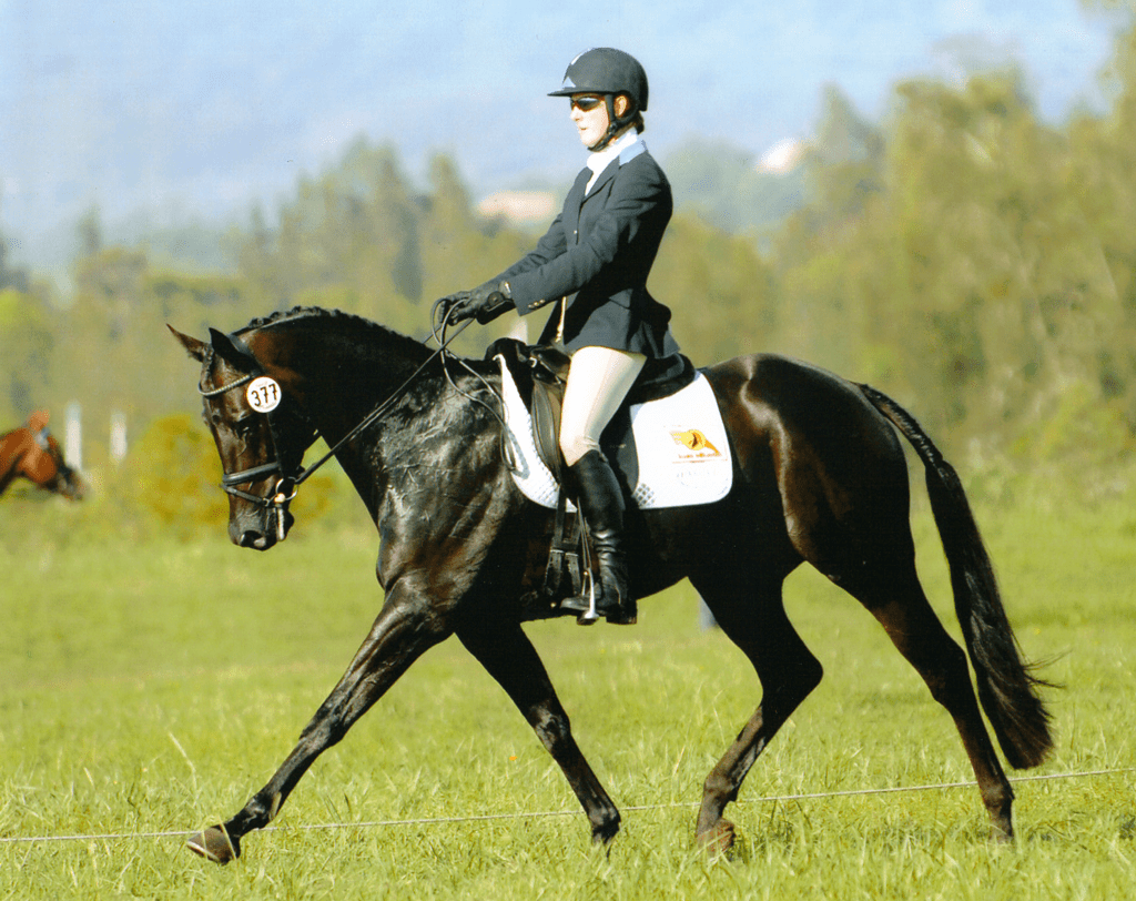 Crackberry doing dressage in camden