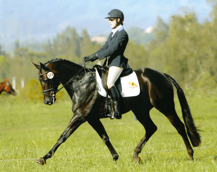 Crackberry doing dressage in Camden