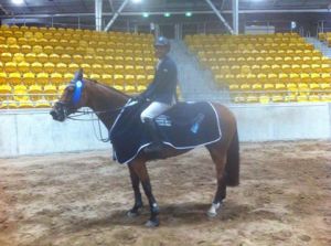 10959460_1609580942607569_4256529704996186910_n