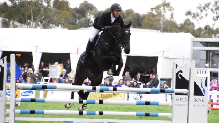 19224865_1977630619135931_1775037955419985429_n